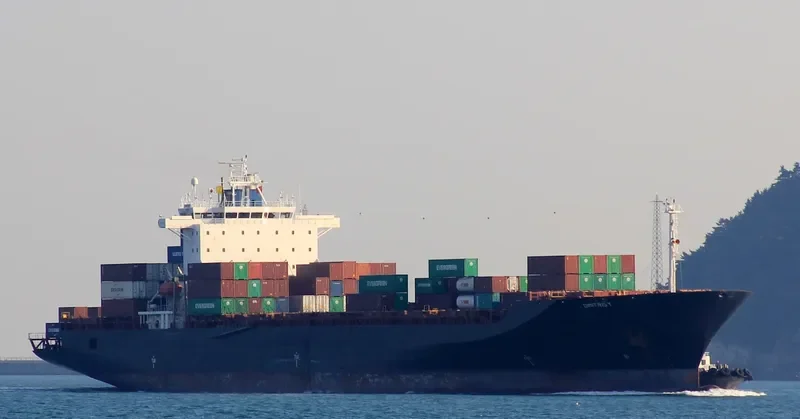 DIMITRIS Y Container Ship IMO 9121247 photo 7