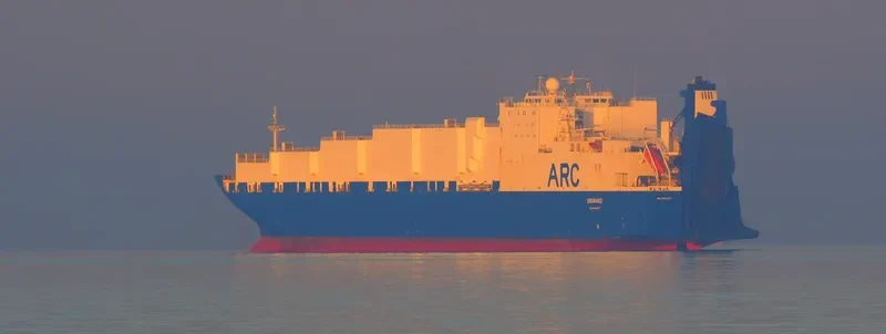 ENDURANCE General Cargo IMO 9121273 photo 9