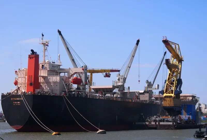 GREEN GARNET Bulk Carrier IMO 9121285 photo 10