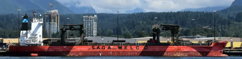 SAGA HORIZON General Cargo IMO 9121297 photo 9