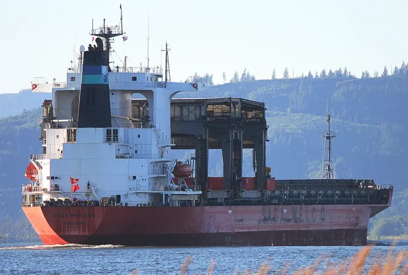 SAGA HORIZON General Cargo IMO 9121297 photo 10