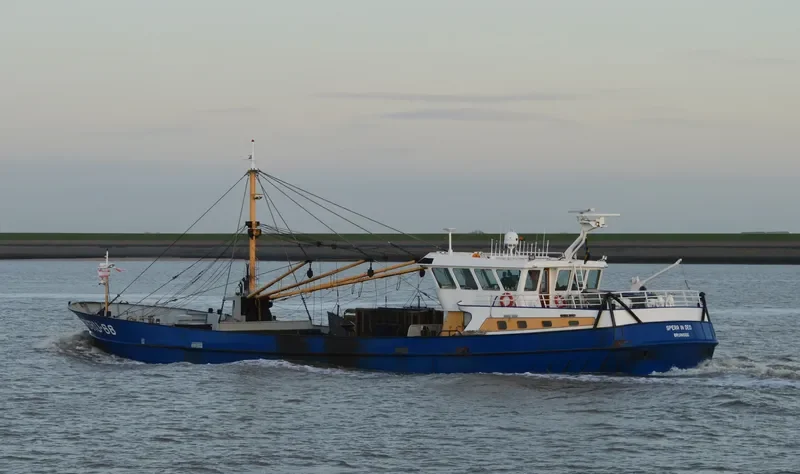 SPERA IN DEO General Cargo IMO 9121455
