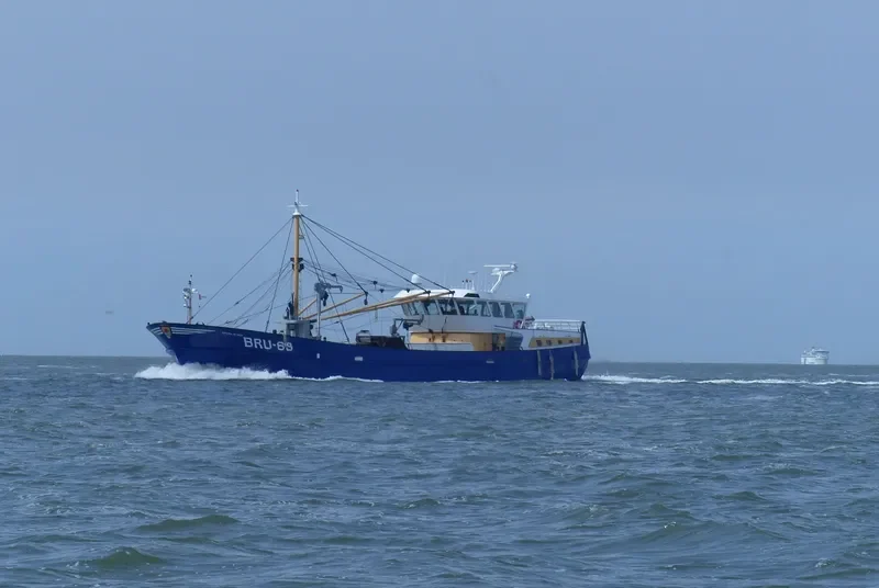 SPERA IN DEO General Cargo IMO 9121455 photo 3