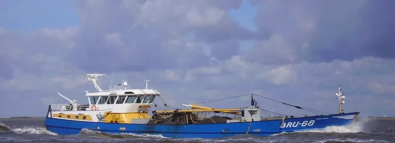 SPERA IN DEO General Cargo IMO 9121455 photo 10