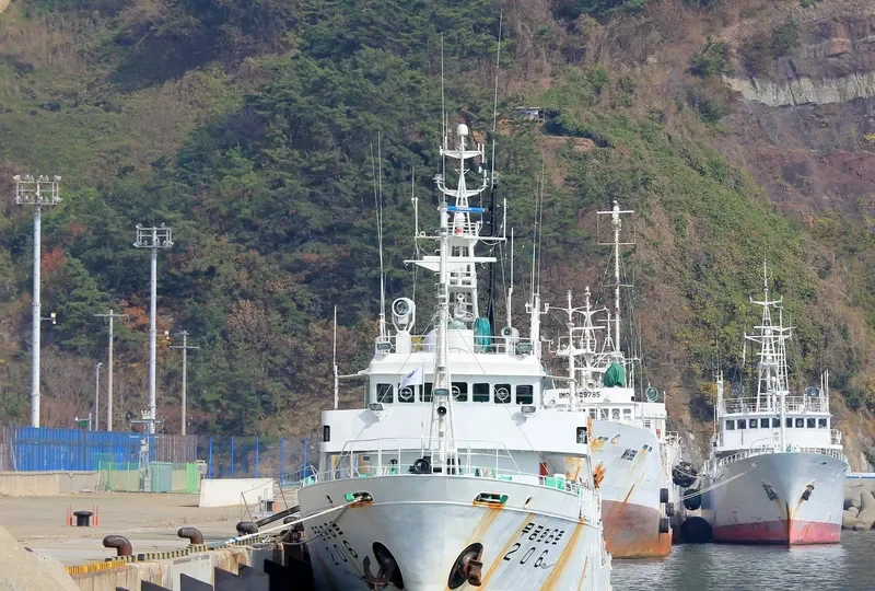 MUGUNGHWA NO.6 General Cargo IMO 9121584 photo 6