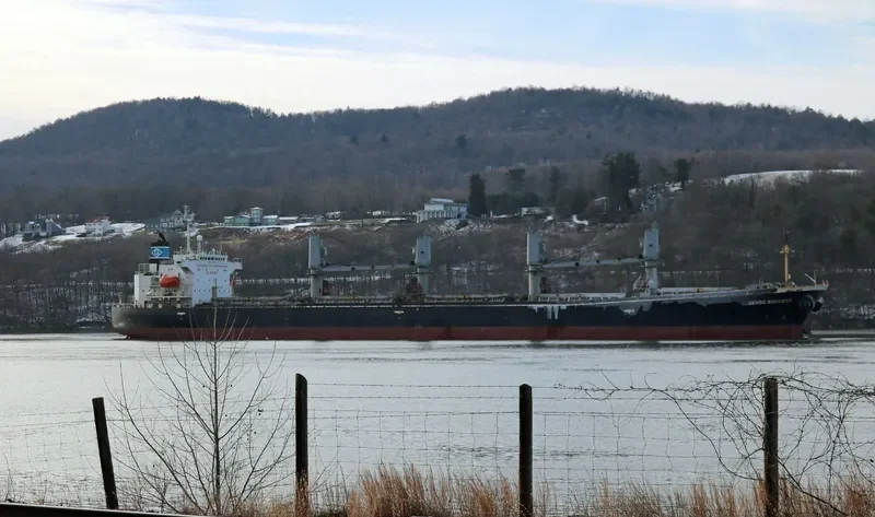 GERM SUCCESS Bulk Carrier IMO 9121730 photo 6