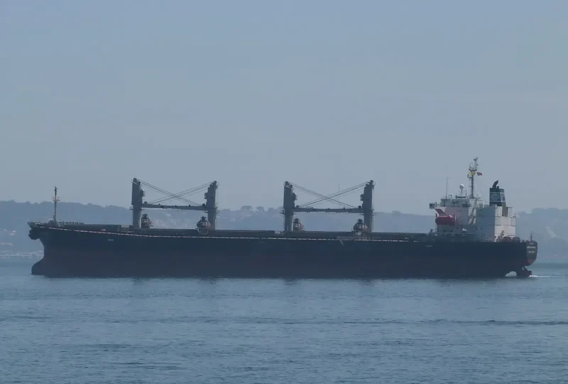 GERM SUCCESS Bulk Carrier IMO 9121730 photo 7