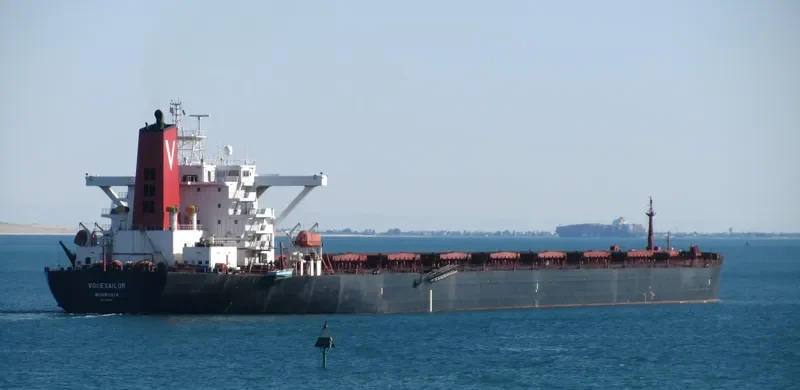 NGMSAILOR Bulk Carrier IMO 9122100 photo 2