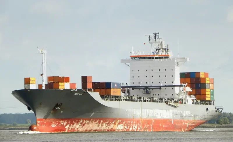 TAG 81 Container Ship IMO 9122215 photo 4