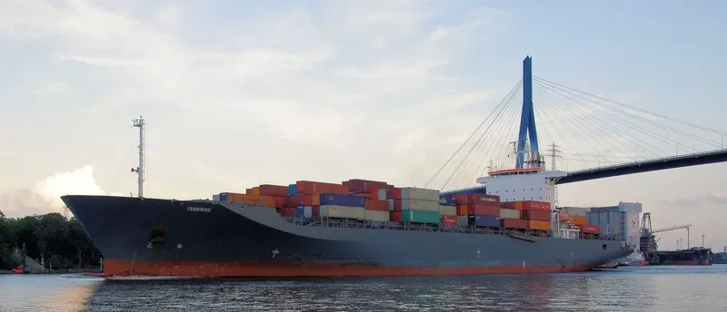 TAG 81 Container Ship IMO 9122215 photo 8