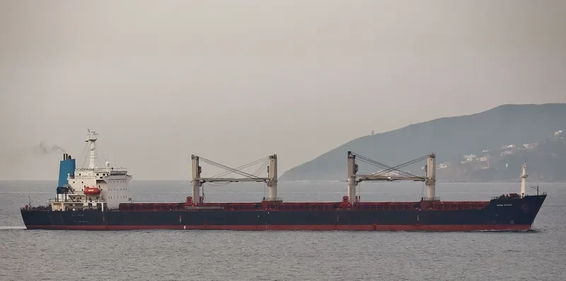 KAVKAZ III Bulk Carrier IMO 9122289 photo 5