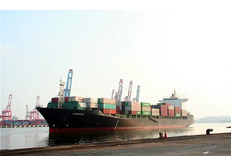 LINDAVIA Container Ship IMO 9122435 photo 3