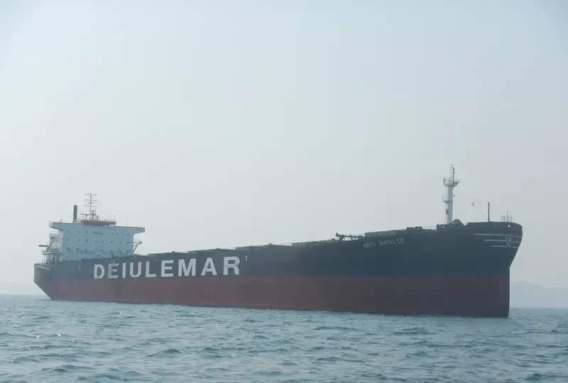 YU XIAO 3 Bulk Carrier IMO 9122564 photo 7