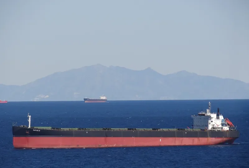 DARIOS Bulk Carrier IMO 9122588 photo 4