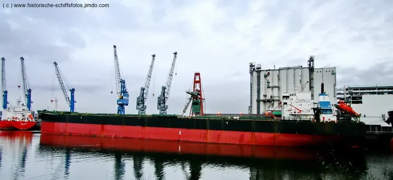 DARIOS Bulk Carrier IMO 9122588 photo 5