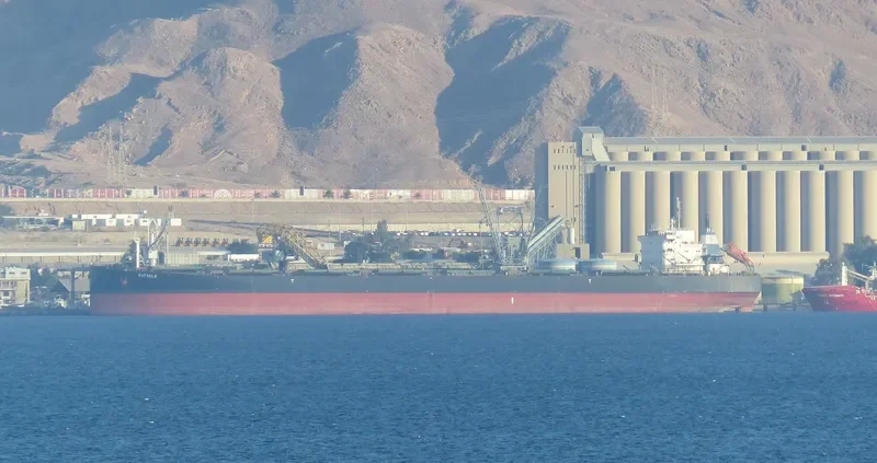 DARIOS Bulk Carrier IMO 9122588 photo 8