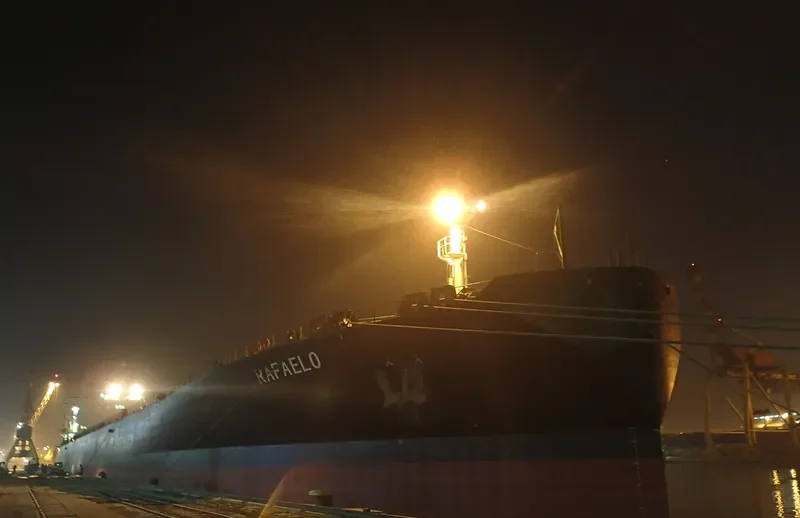 DARIOS Bulk Carrier IMO 9122588 photo 9