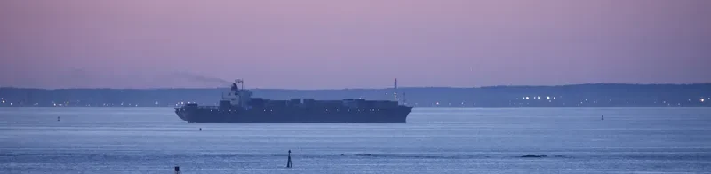MELINA Container Ship IMO 9122605 photo 10