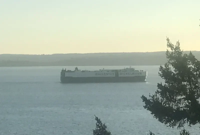 DON CARLOS General Cargo IMO 9122655 photo 7