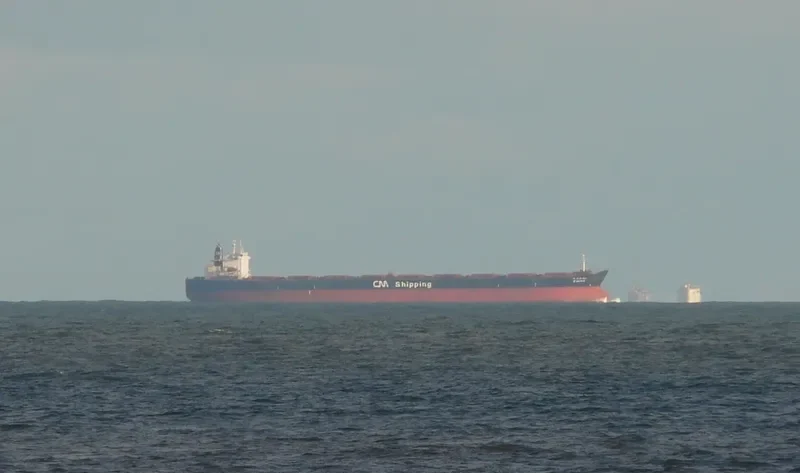 C.OASIS Bulk Carrier IMO 9122784 photo 3