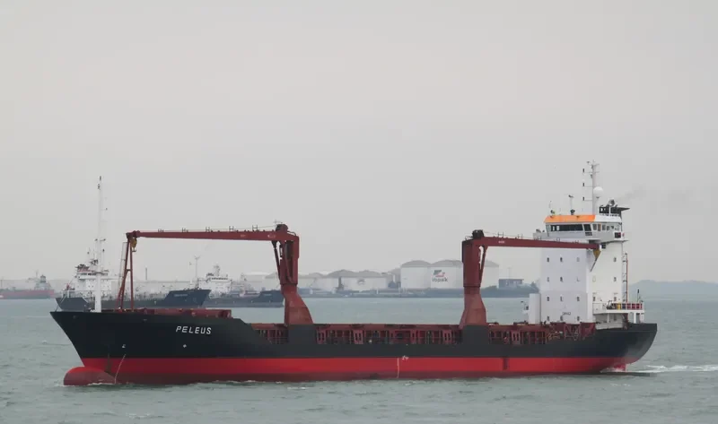 NAKANAI COAST General Cargo IMO 9122825 photo 6