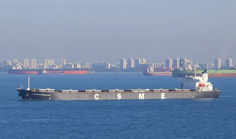 CAPTAIN EVANGELOS N.M. Bulk Carrier IMO 9122851 photo 4