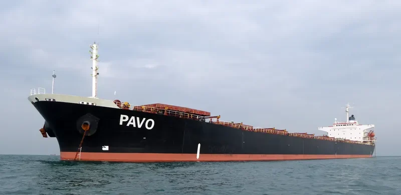 HE DA Bulk Carrier IMO 9122863