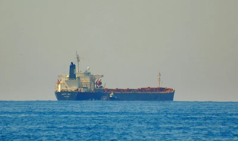 HE DA Bulk Carrier IMO 9122863 photo 4
