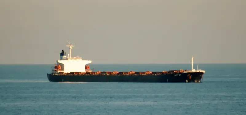 HE DA Bulk Carrier IMO 9122863 photo 5