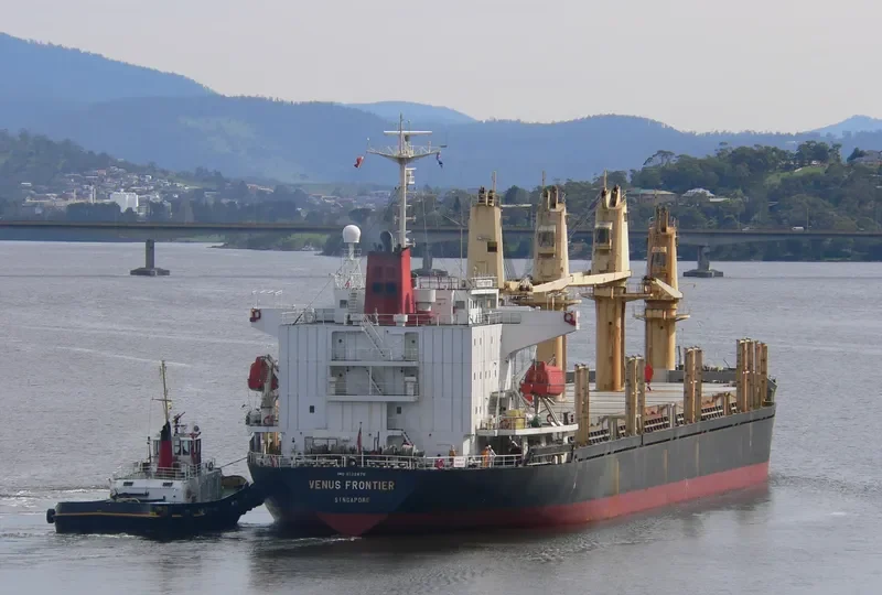 ORIENTAL HERO General Cargo IMO 9122875 photo 2