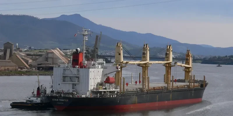 ORIENTAL HERO General Cargo IMO 9122875 photo 3