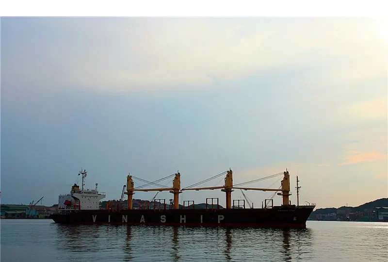 VINASHIP STAR General Cargo IMO 9122887 photo 7