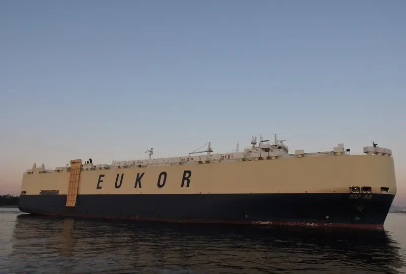 ASIAN VISION General Cargo IMO 9122966 photo 4