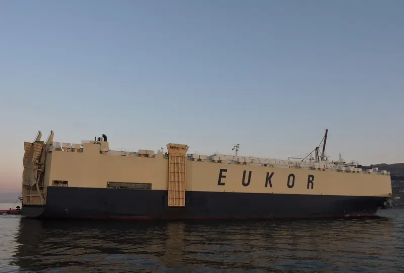 ASIAN VISION General Cargo IMO 9122966 photo 5
