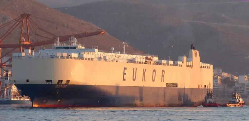 ASIAN VISION General Cargo IMO 9122966 photo 8