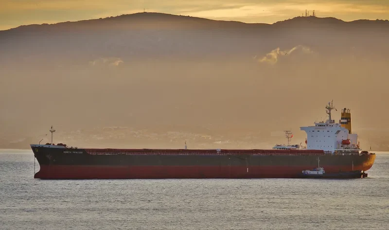 ANDHIKA NARESWARI Bulk Carrier IMO 9123128 photo 3