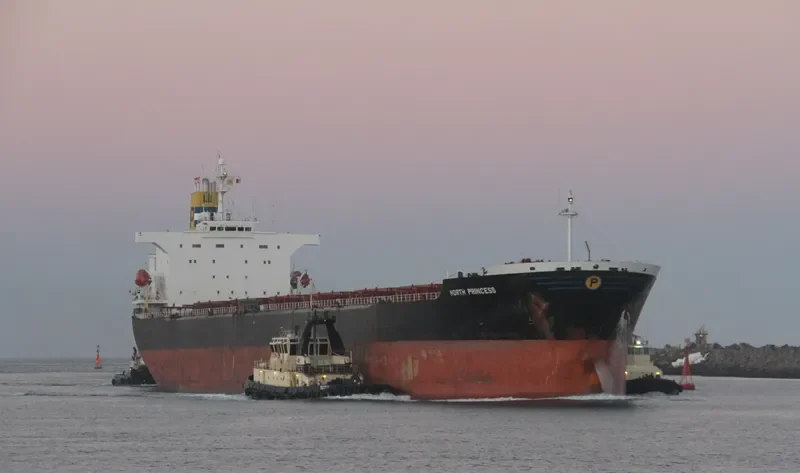 ANDHIKA NARESWARI Bulk Carrier IMO 9123128 photo 4
