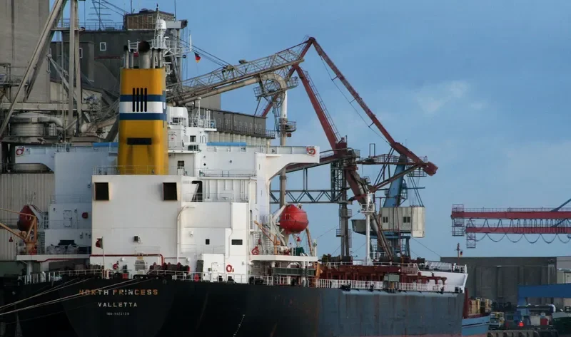 ANDHIKA NARESWARI Bulk Carrier IMO 9123128 photo 5