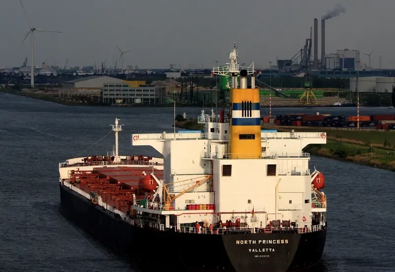 ANDHIKA NARESWARI Bulk Carrier IMO 9123128 photo 6