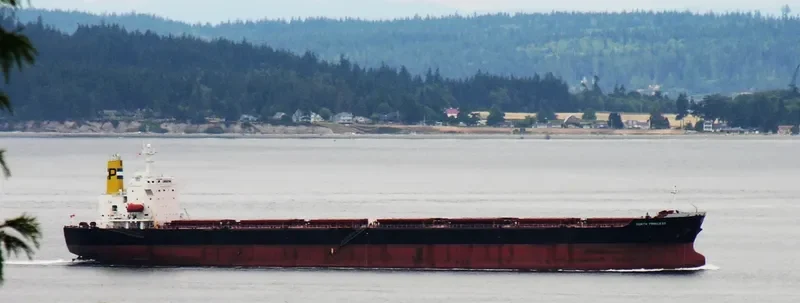 ANDHIKA NARESWARI Bulk Carrier IMO 9123128 photo 7
