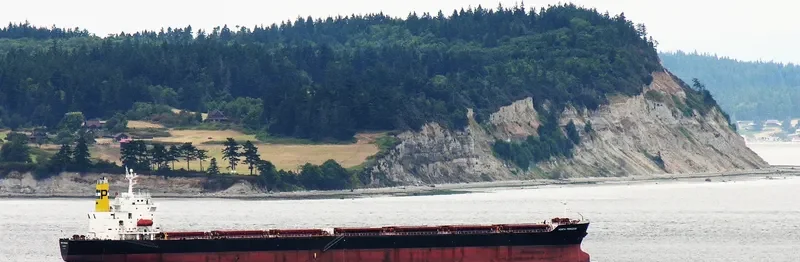 ANDHIKA NARESWARI Bulk Carrier IMO 9123128 photo 8
