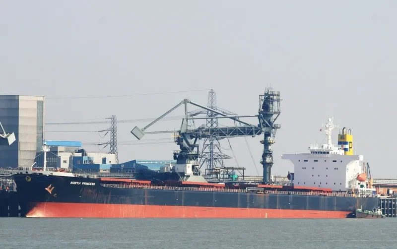 ANDHIKA NARESWARI Bulk Carrier IMO 9123128 photo 9