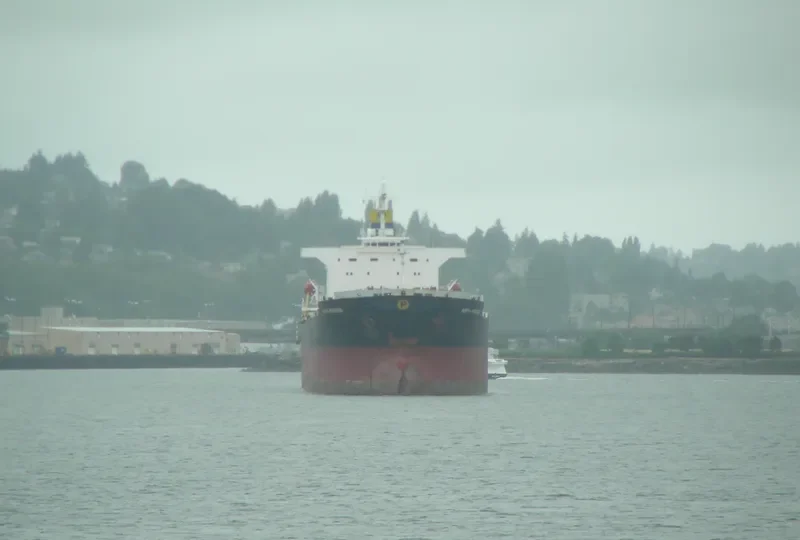 ANDHIKA NARESWARI Bulk Carrier IMO 9123128 photo 10