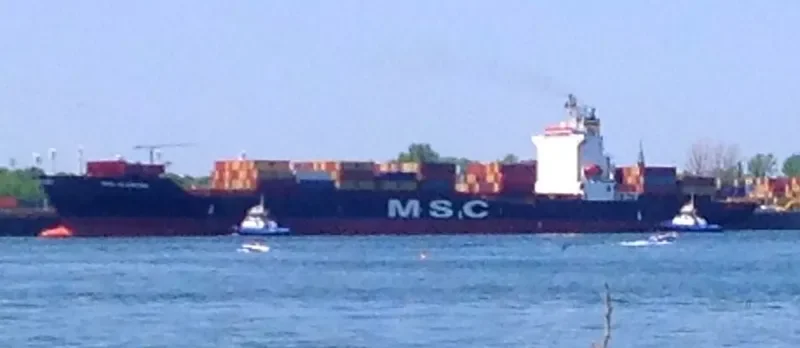 MSC ALABAMA Container Ship IMO 9123166 photo 6