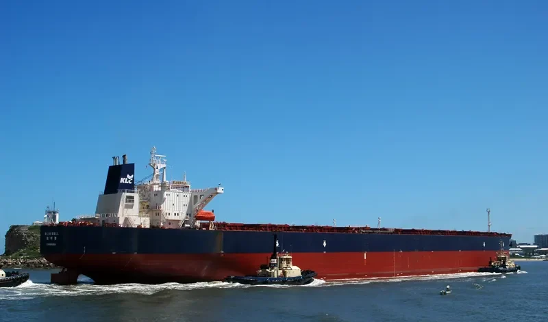BELL Bulk Carrier IMO 9123180 photo 2
