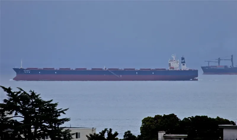 BELL Bulk Carrier IMO 9123180 photo 7