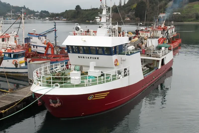 LIINAKHAMARI General Cargo IMO 9123207 photo 9