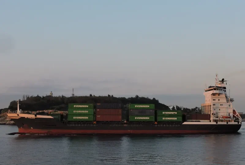 BF PHILIPP Container Ship IMO 9123324 photo 40