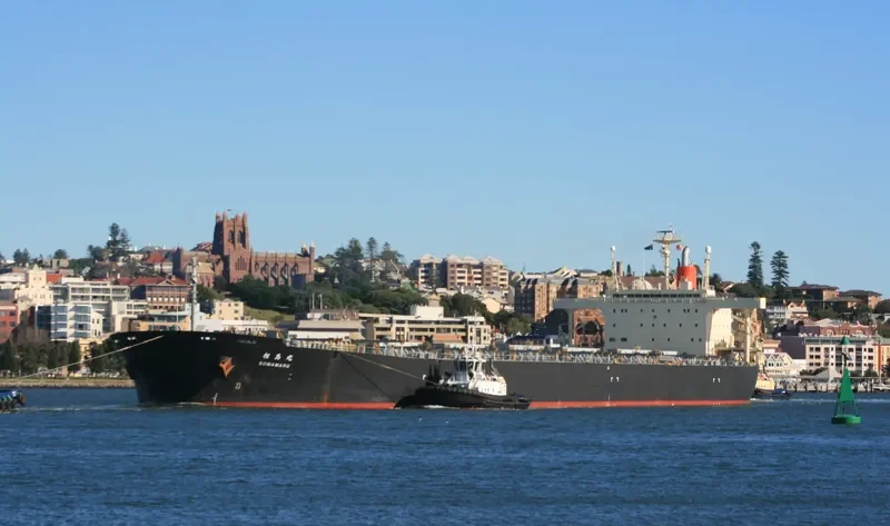 INDIA COAL MARU Bulk Carrier IMO 9123350 photo 2