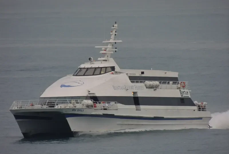 ARIA BUPALA Passenger Ship IMO 9123556 photo 2